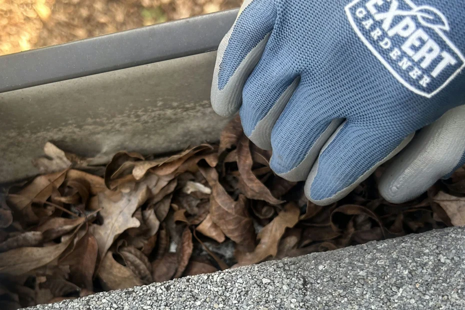 Gutter Cleaning Edgewater FL