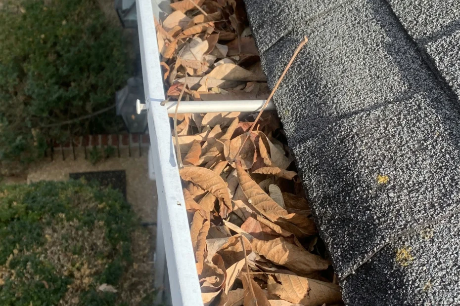 Gutter Cleaning Edgewater FL