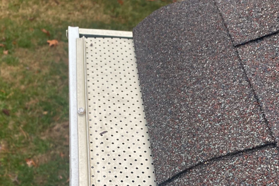 Gutter Cleaning Edgewater FL